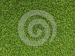 Green grass Texture.Green grass background.View of green grass.Grass texture of football.Fresh grass.