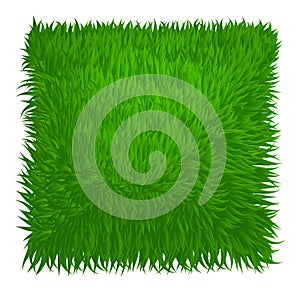 Green grass texture rectangle isolated on white