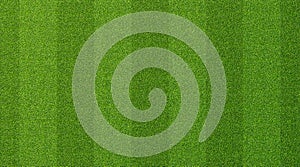 Green grass texture for sport background. Detailed pattern of green soccer field or football field grass lawn texture. Green lawn