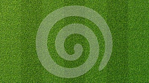 Green grass texture for sport background. Detailed pattern of green soccer field or football field grass lawn texture. Green lawn