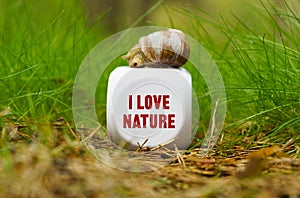 On the green grass there is a white cube with a snail, on the cube there is an inscription - I Love Nature