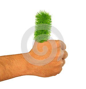 Green Grass Thumb Up Go Green thumbs up Hand