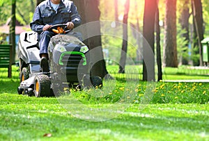 Green grass treeming with lawn mower.
