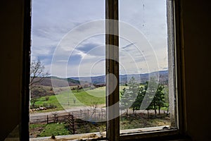 Green grass and trees under overcast and cloudy sky background in Bulgaria.