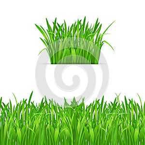 Green grass tuft and border on white background