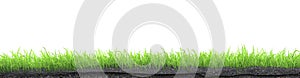 Green grass turf isolated on white background 3D illustration