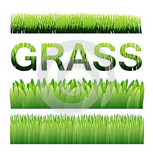 Green grass vector background elements. Ai10 photo