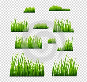 Green grass vector illustration isolated. Summer natural grassy green plant for garden. Grass template