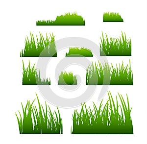 Green grass vector illustration isolated. Summer natural grassy green plant for garden. Grass template