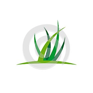 Green Grass vector Logo Template Illustration Design. Vector EPS 10