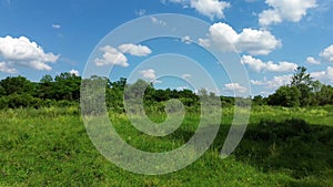 Green grass, vegetation and blue sky with fluffy clouds