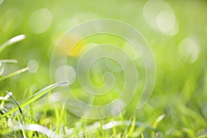 Zelená tráva velmi mělký hloubka z všímavost rozjímání duševní 