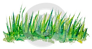 Green grass watercolour