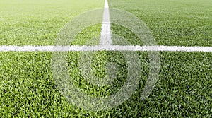 Green grass with white line of football field