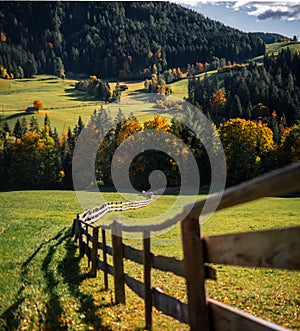 Green grass with wooden fence in Alps