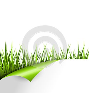 Green grass with wrapped paper sheet isolated on white. Floral e