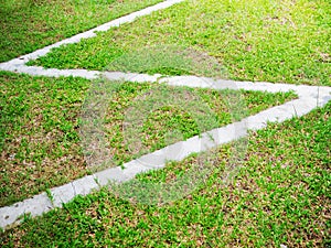 Green grass yard with cement