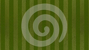 Green grasses field background for soccer , footbal