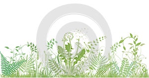 Green grasses, plants and herbs - illustration photo