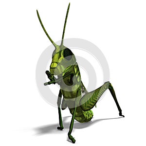 Green grasshopper