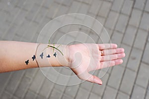Green grasshopper sitting on a hand.