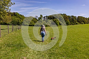 Green grassy dutch plain, mature woman walking with her brown dachshund on hiking trail