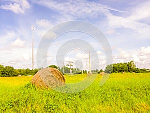 Green grassy field with hays for feeding cattle