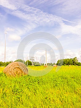 Green grassy field with hays for feeding cattle