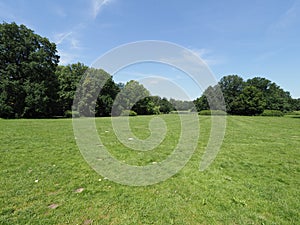 Green grassy field and trees at park landscape in european Pszczyna city in Poland on June
