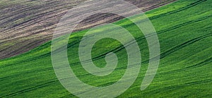 Green and gray spring field abstract background