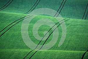 Green and gray spring field abstract background