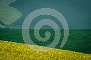 Green and gray spring field abstract background