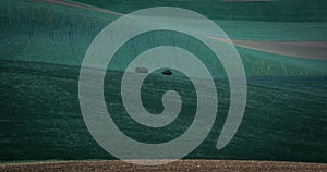 Green and gray spring field abstract background