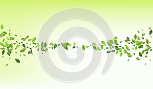 Green Greenery Blur Vector Green Background