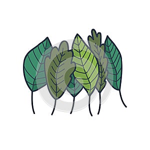 Green, greenery, verdure doodle illustration