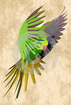 Green and grey bird