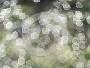 Green and grey bokeh effect and purposely blurred view of sunlight. Blurry background with photographic bokeh effect in nature