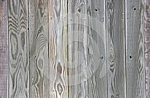 Green Grey Tinted Wood fence background board uniq photo