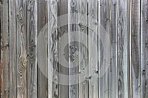 Green Grey Tinted Wood fence background unique grain