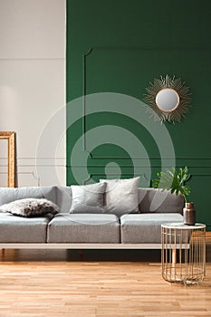 Green and grey wall with molding in chic living room interior with grey couch and wooden floor