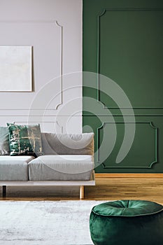 Green and grey wall with molding in chic room interior with grey couch and wooden floor