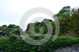 Green Growth Along the Ruins of Dunollie Castle