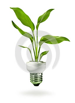 Green growth from energy saving eco lamp