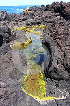 Green growth in a volcanic tidal pool