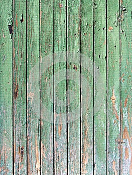 Green grungy plank