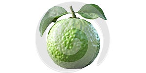 Green Guava Fruit With Leaves Isolated on Transparent Background.