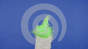 Green haired hand of Grinch showing middle finger gesture on isolated blue background. Gift snatcher cosplay. Christmas