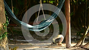 Green hammock flutters in the wind with the jungle in the background