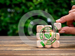 Green hand hold world, symbol in hand put on wooden cube puzzle blocks on green leaves background.