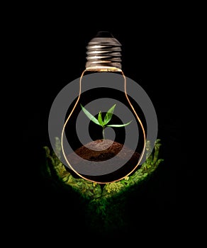 Green hand holding a light bulb with fresh green leaves inside, isolated on black background